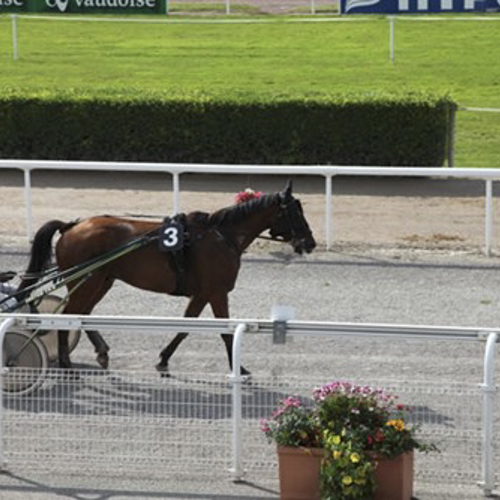 Ausflug Alumni Avenches 2014 Img 9197