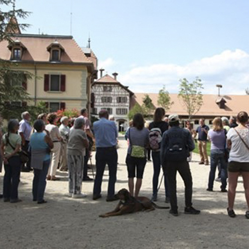 Ausflug Alumni Avenches 2014 Img 9114
