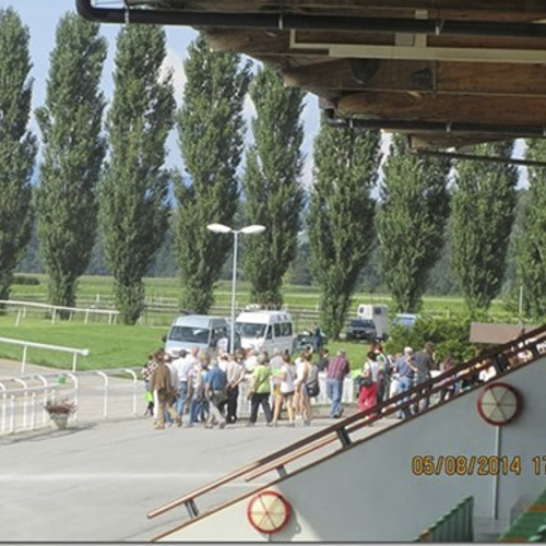 Ausflug Alumni Avenches 2014 As13